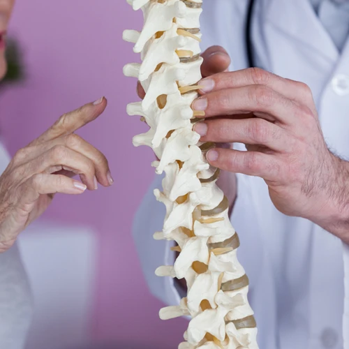 A patient pointing at a spine model being held by a doctor during a consultation